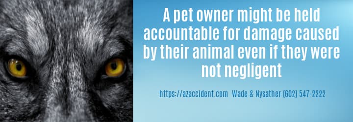 Graphic Stating Pet Owner May Be Liable If Not Shown To Be Negligent