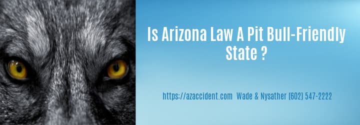 Graphic stating Is Arizona A Pit_Bull Friendly State