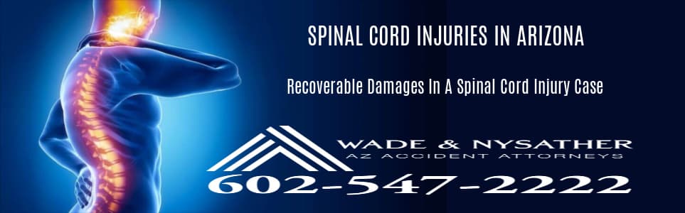 Graphic Stating Recoverable Damages Spinal Cord Injury Law Suit